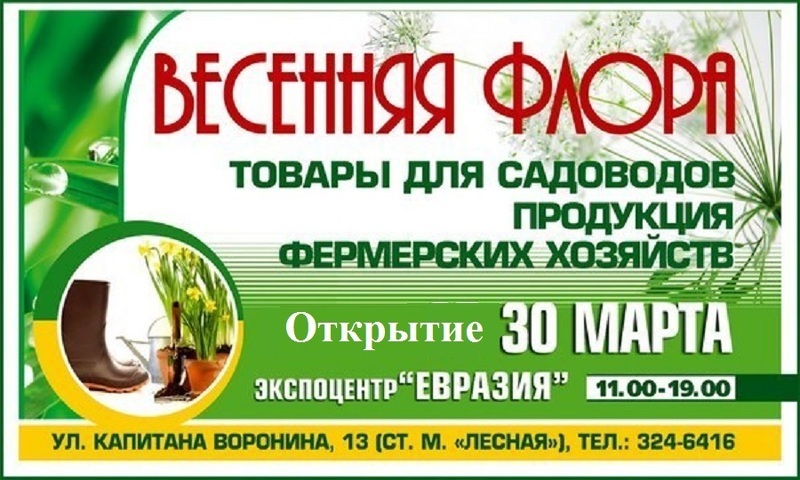 17 выставка-ярмарка Весенняя Флора в Питере