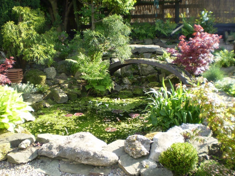 Рокарий – новомодный способ создания каменного цветника для украшения в саду