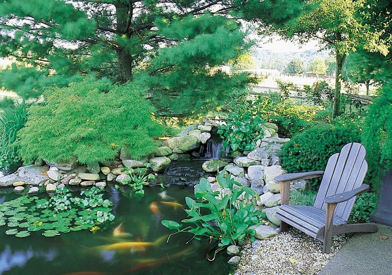 Рокарий не только украсит сад, но и немного поднимет влажность на вашей территории. Также в водоеме можно разводить рыбу