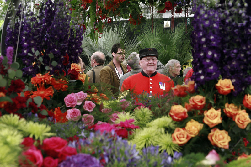 Фестиваль Moscow Flower Show 2015