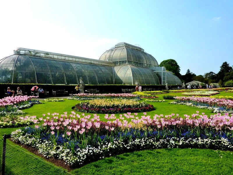 Красивые сады мира фото: королевский ботанический сад в Лондоне