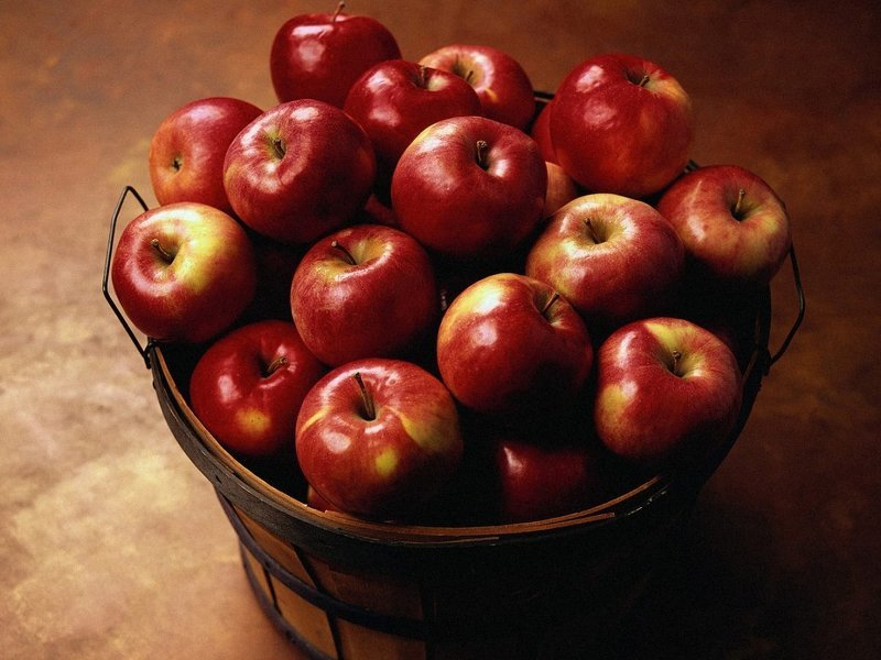 Как сохранить яблоки свежими зимой: сбор, обработка, подготовка помещения