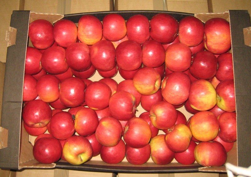Как хранить яблоки зимой: яблоки в воске