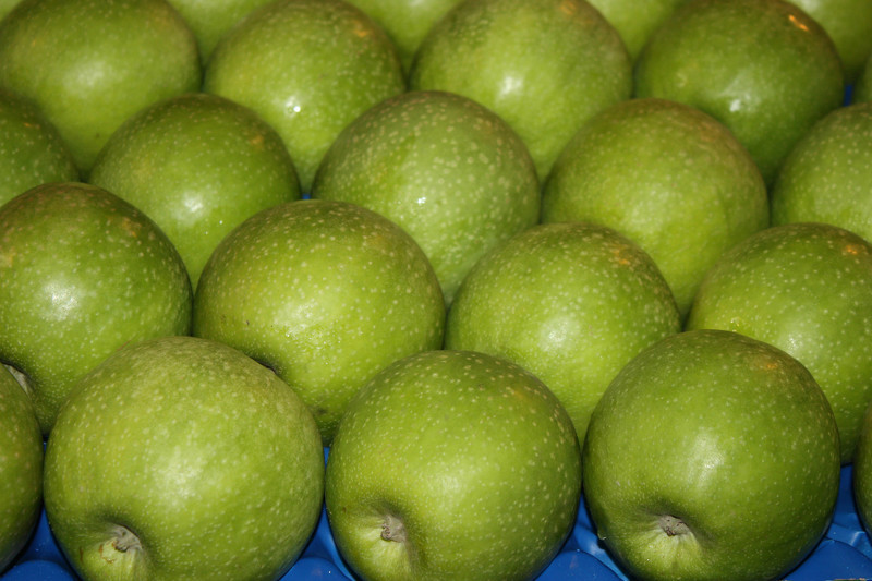 Как хранить яблоки зимой: выбор сорта