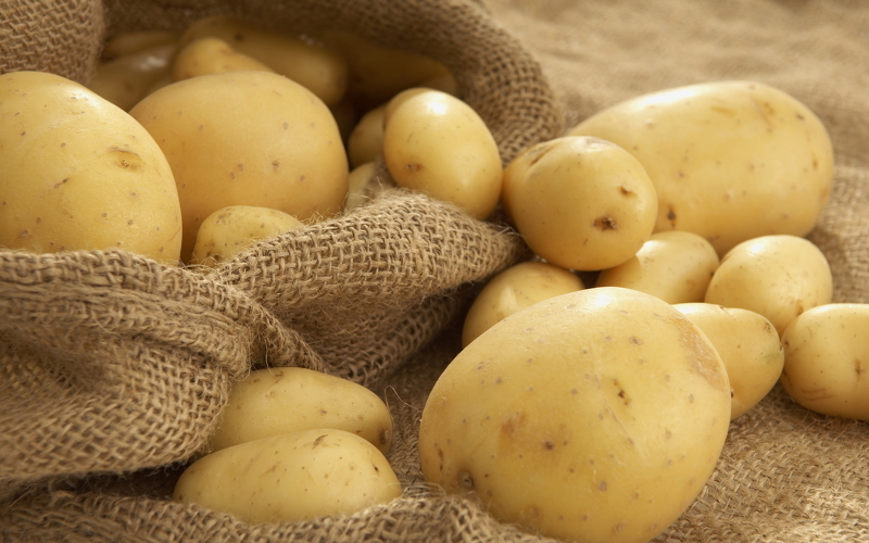 Болезни клубней картофеля фото и описание