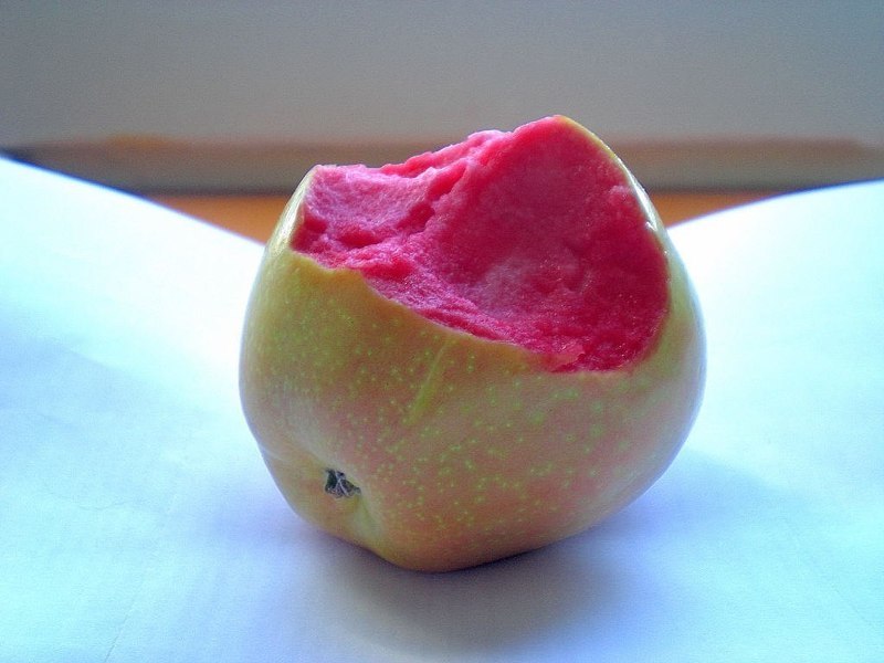 Сорт яблок розовый жемчуг фото – Яблоня розовый жемчуг – цвет мякоти