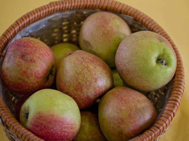 Сорт яблок богатырь - яблоки в корзине