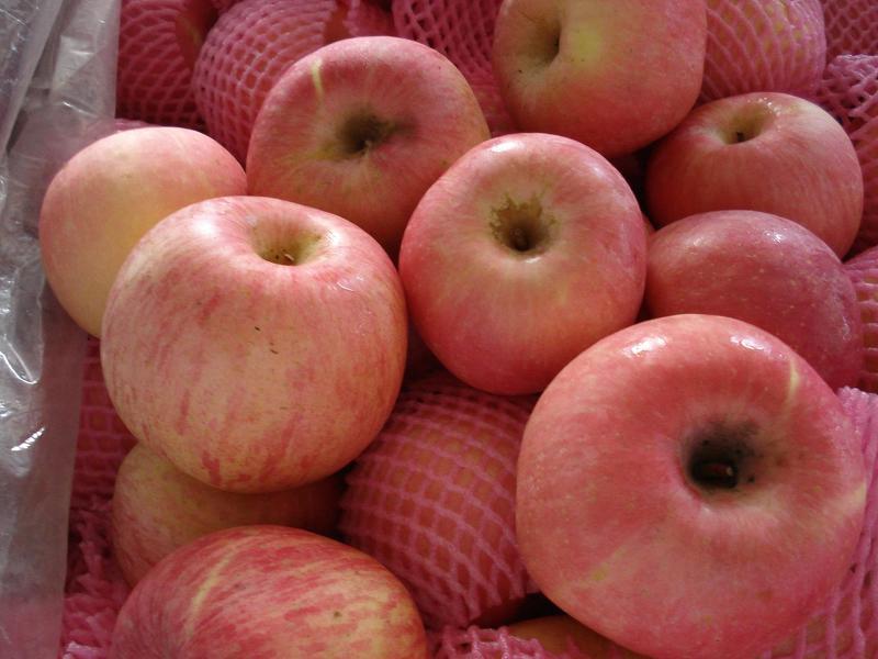 Яблоко фуджи – хранение