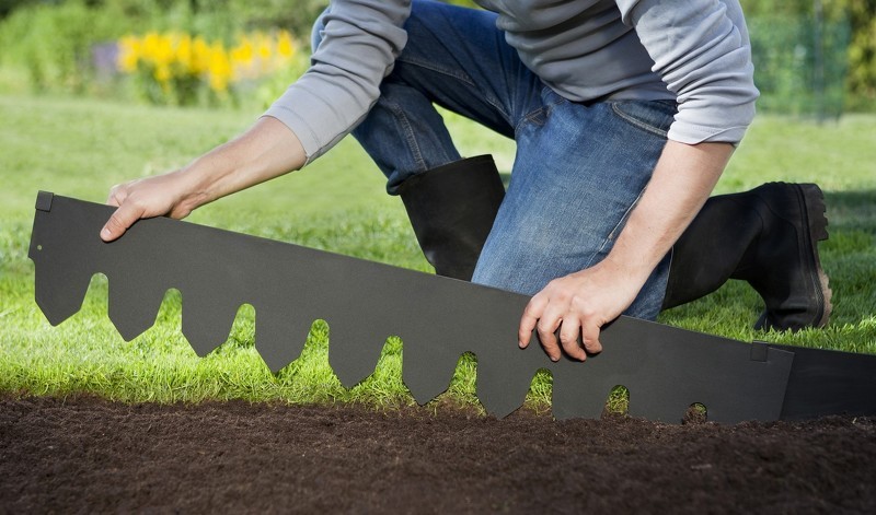 Как сделать газон на даче своими руками