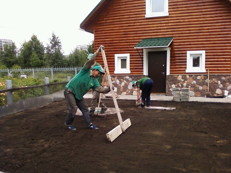 Как сделать газон на даче своими руками: подготовка земли
