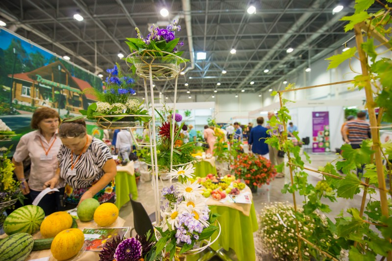 Цветы Сибири – 2015:Выставочный комплекс Новосибирск Экспоцентр
