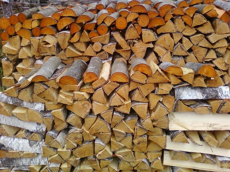 Заготовка дров на зиму: как и где правильно хранить, когда заготавливать