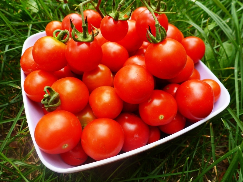 Консервированные и свежие помидоры - противопоказания