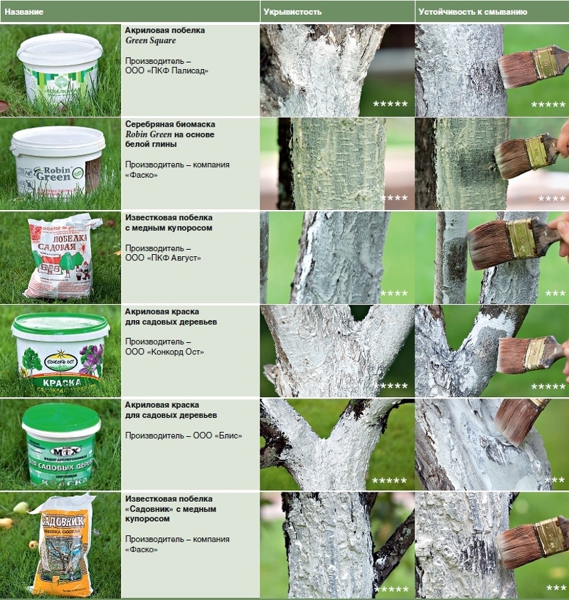 Устойчивость различных средств побелки и качество покрытия дерева