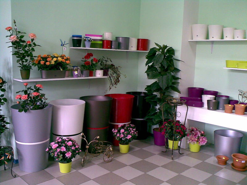 Выставка Ural Flowers: цветы и композиции
