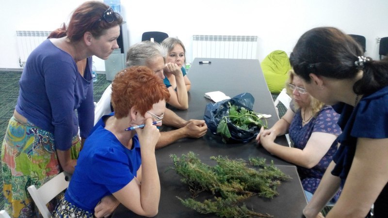 Занятия по физиологии хвойников на курсе Практика создания садов 