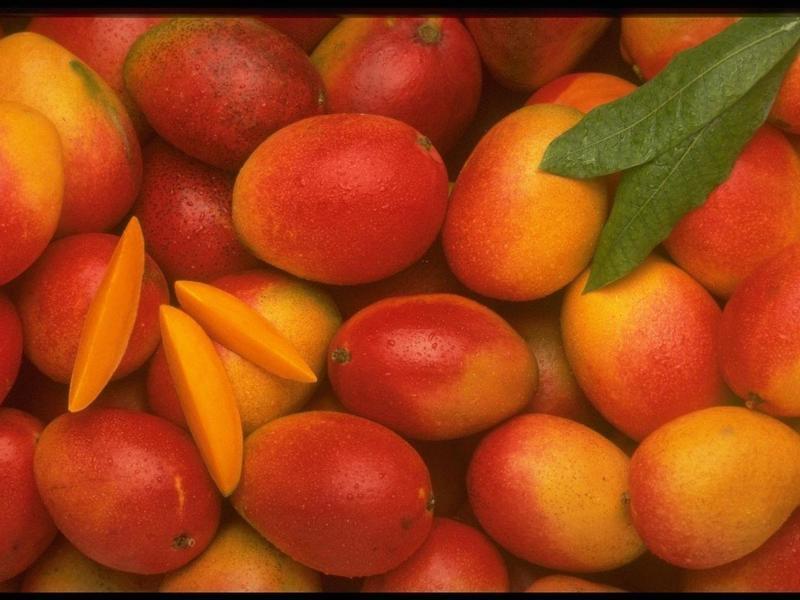 Спелые плоды манго