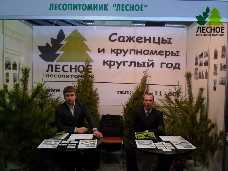 Саженцы хвойных культур от специализированного питомника 