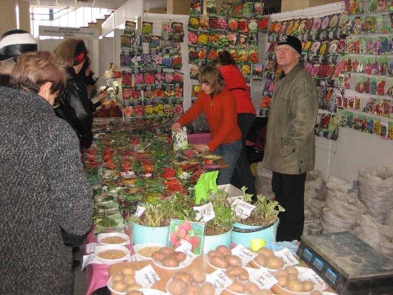 Семена и клубни картофеля на выставке в Симферополе 