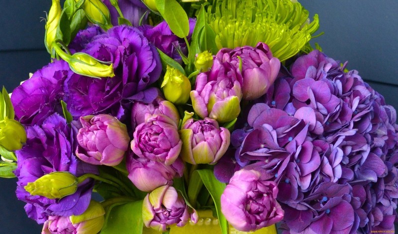 Прекрасные цветы пурпурной эустомы