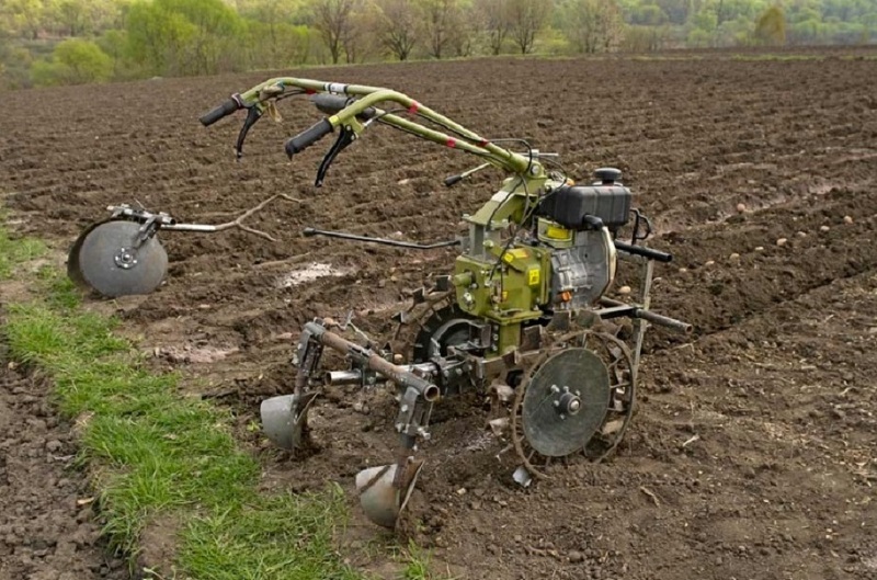 Как посадить картофель весной: способы ручной и механической посадки