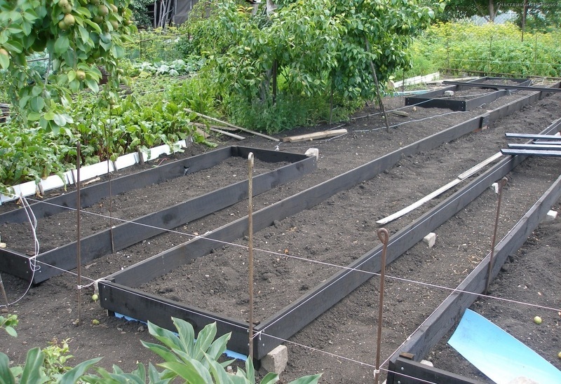 Подготовка почвы под клубнику