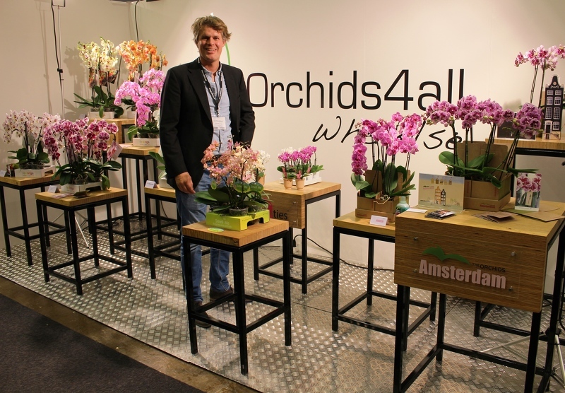 Орхидеи на выставке Elmia Garden в Швеции