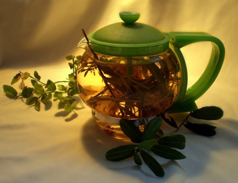Чай из эвкалипта