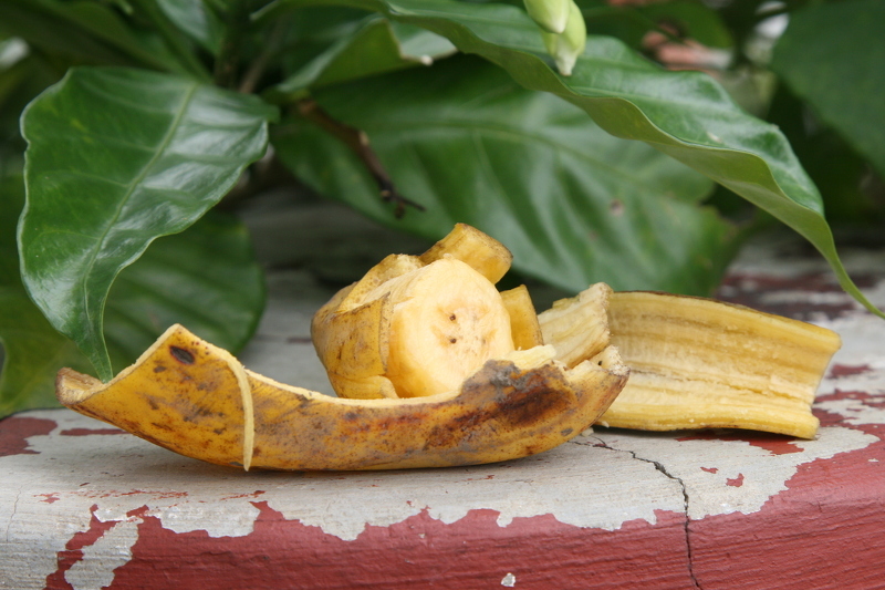 Банановую корку тоже можно использовать как удобрение