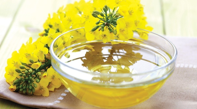 Касторовое масло – природный стимулятор пышного и красивого цветения комнатных растений