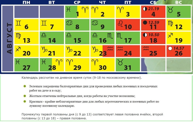 Благоприятные дни на август: посевной календарь в таблице