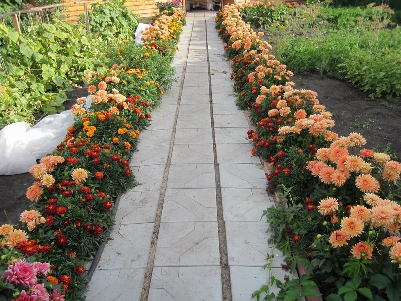 Бордюрные цветники оживят садовые дорожки на даче