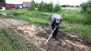 Грядка клубники и особенности ухода