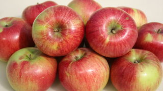 Яблони сорта с фото - уэлси
