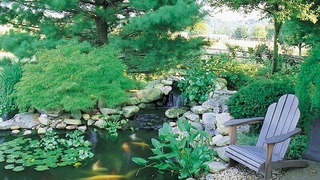 Рокарий не только украсит сад, но и немного поднимет влажность на вашей территории. Также в водоеме можно разводить рыбу