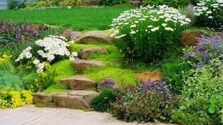 Красивый сад фото зонирование перепадов ландшафта при помощи лестницы