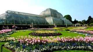 Красивые сады мира фото: королевский ботанический сад в Лондоне