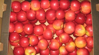 Как хранить яблоки зимой: яблоки в воске