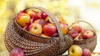 Как хранить яблоки, яблоки в корзине фото