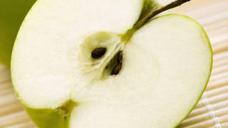Сорт яблок антоновка - яблочные косточки