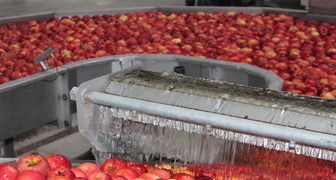 Яблокии лобо &ndash; использование в промышленности