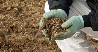Какие подкормки выбрать для удобрения плодового сада осенью