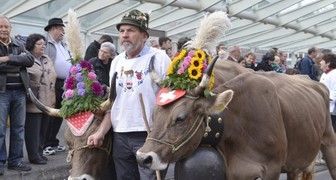 Выставка коров в Санкт-Галлене