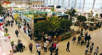 Выставка цветов Ural Flowers: дизайнерские композиции