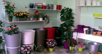 Выставка Ural Flowers: цветы и композиции