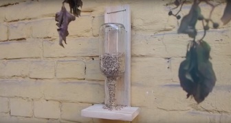 Необычная кормушка для птиц