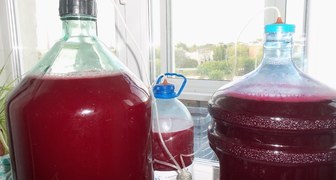 Домашнее вино из забродившего клубничного варенья