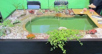 Занятие по обустройству водоема на куре Практика создания садов   