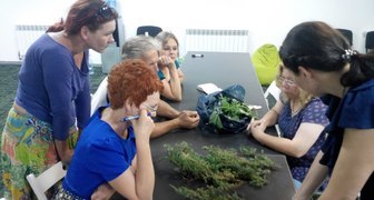 Занятия по физиологии хвойников на курсе Практика создания садов 