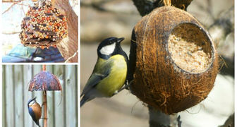 Оригинальные кормушки для птиц: польза и украшение для зимнего сада